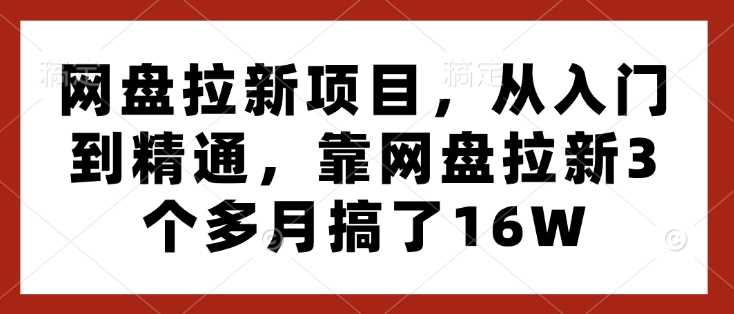 网盘拉新项目，从入门到精通，靠网盘拉新3个多月搞了16W-天孤无涯网