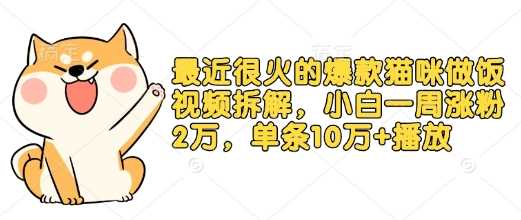 最近很火的爆款猫咪做饭视频拆解，小白一周涨粉2万，单条10万+播放(附保姆级教程)-天孤无涯网