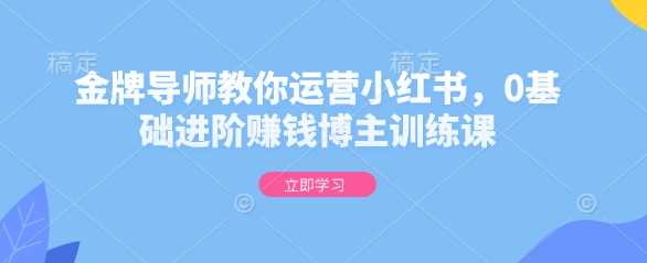 金牌导师教你运营小红书，0基础进阶赚钱博主训练课-天孤无涯网