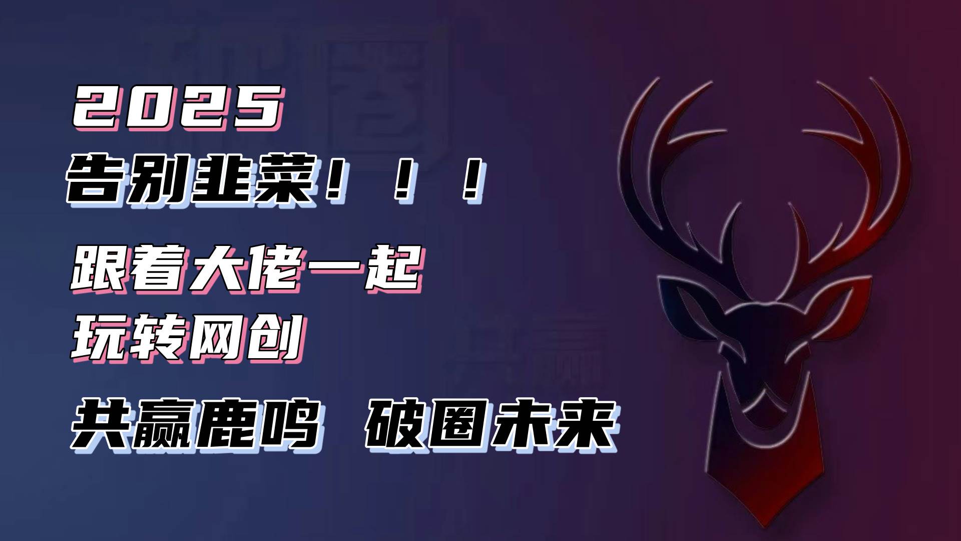 （13896期）告别韭菜！2025知识付费风口项目，小白也能闭眼操作！-天孤无涯网
