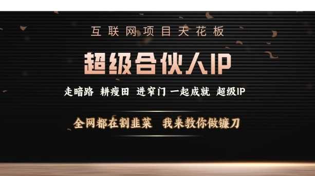 互联网项目天花板，超级合伙人IP，全网都在割韭菜，我来教你做镰刀【仅揭秘】-天孤无涯网