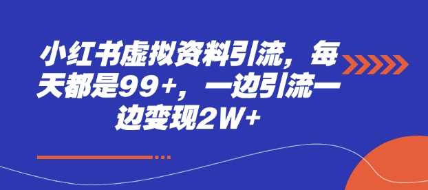 小红书虚拟资料引流，每天都是99+，一边引流一边变现2W+-天孤无涯网