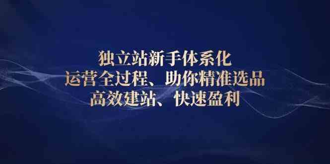 独立站新手体系化 运营全过程，助你精准选品、高效建站、快速盈利-天孤无涯网