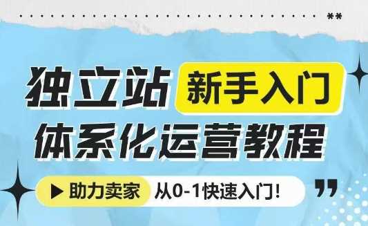 独立站新手入门体系化运营教程，助力独立站卖家从0-1快速入门!-天孤无涯网