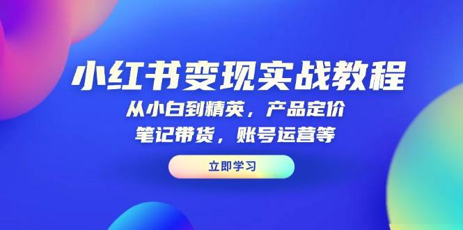 小红书变现实战教程：从小白到精英，产品定价，笔记带货，账号运营等-天孤无涯网