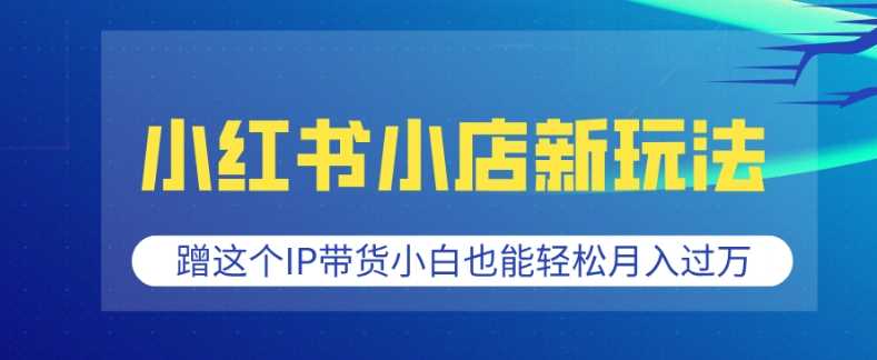小红书小店新玩法，蹭这个IP带货，小白也能轻松月入过W【揭秘】-天孤无涯网