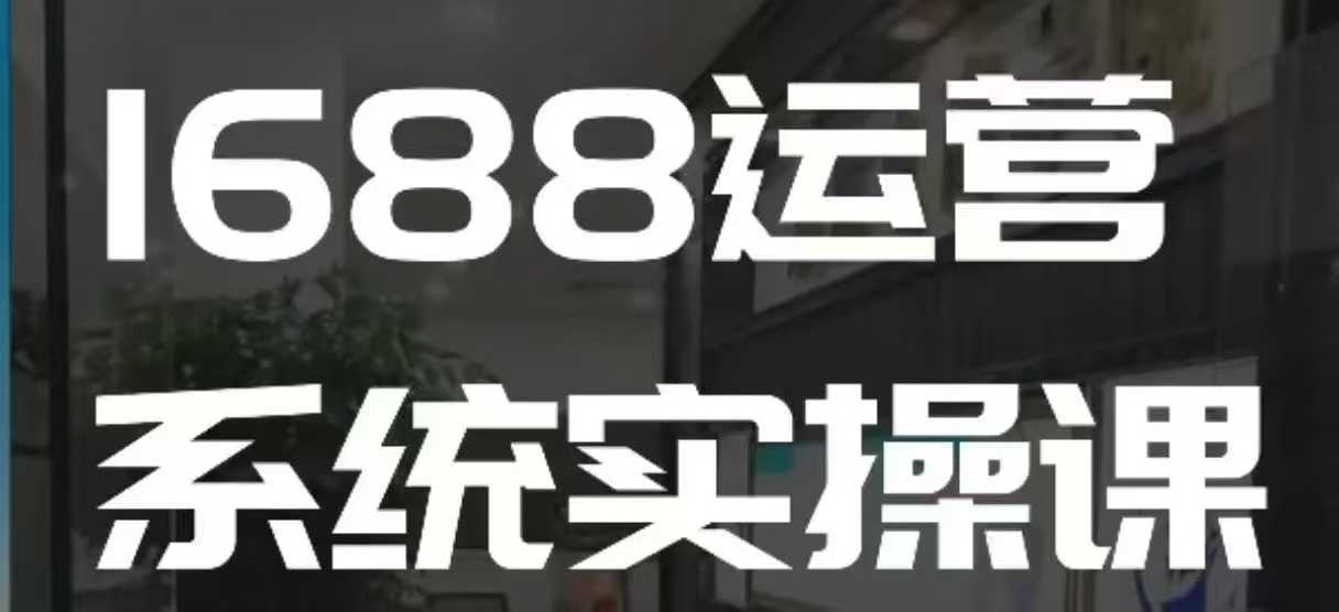 1688高阶运营系统实操课，快速掌握1688店铺运营的核心玩法-天孤无涯网