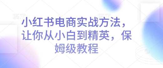 小红书电商实战方法，让你从小白到精英，保姆级教程-天孤无涯网