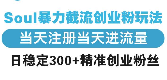 （13935期）Soul暴力截流创业粉玩法，当天注册当天进流量，日稳定300+精准创业粉丝-天孤无涯网