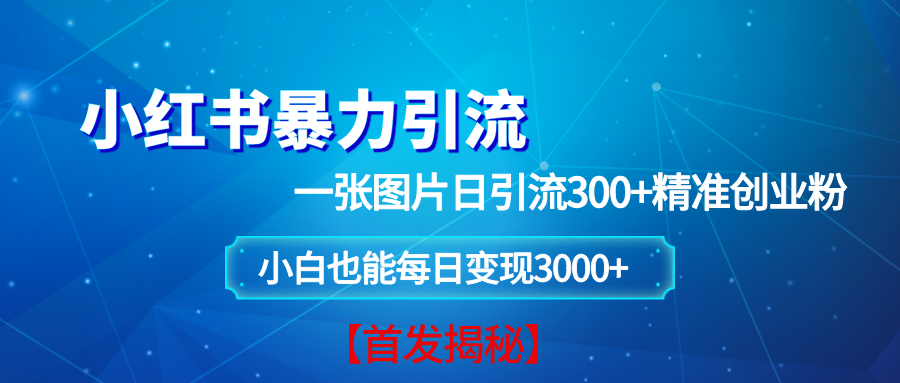 （13935期）小红书暴力引流法，一张图片日引 300+精准创业粉，每日稳定变现 3000+【揭秘】-天孤无涯网