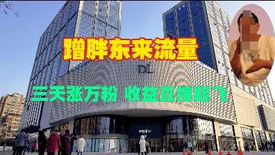 蹭胖东来流量，三天涨万粉，收益直接起飞-天孤无涯网