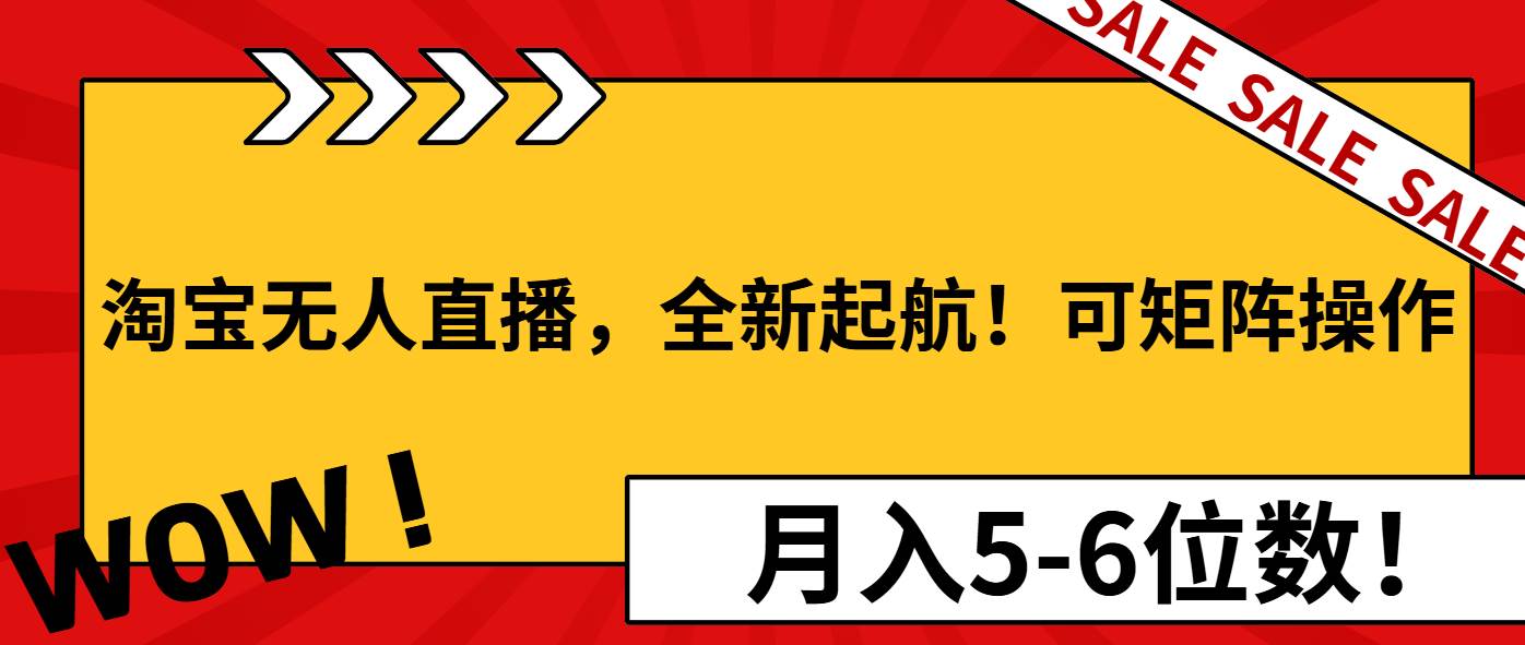 （13946期）淘宝无人直播，全新起航！可矩阵操作，月入5-6位数！-天孤无涯网