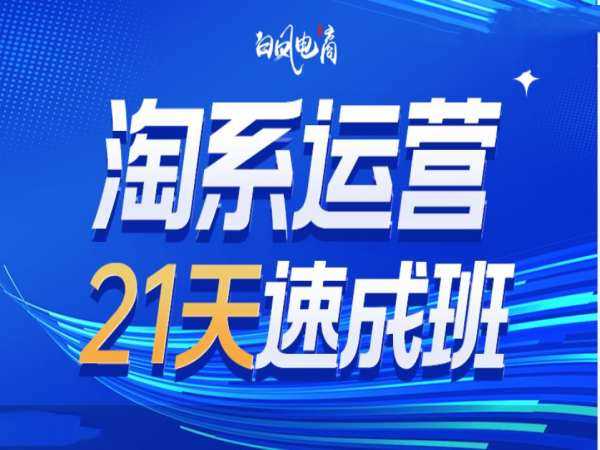 淘系运营21天速成班35期，年前最后一波和2025方向-天孤无涯网