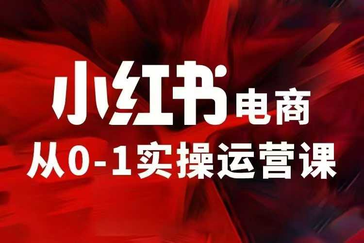 小红书电商运营，97节小红书vip内部课，带你实现小红书赚钱-天孤无涯网