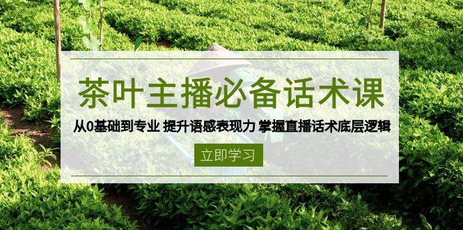 （13961期）茶叶 主播必备话术课 从0基础到专业 提升语感表现力 掌握直播话术底层逻辑-天孤无涯网