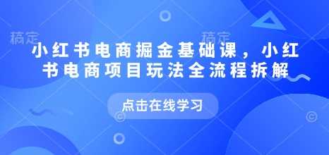 小红书电商掘金课，小红书电商项目玩法全流程拆解-天孤无涯网