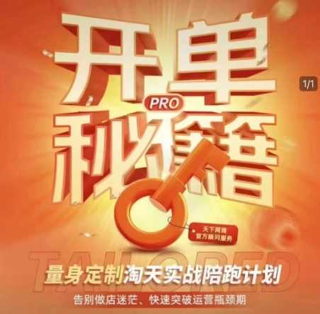 淘宝开单秘籍PRO，量身定制淘天实战陪跑计划，告别做店迷茫、快速突破运营瓶颈期-天孤无涯网