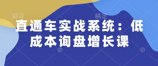 直通车实战系统：低成本询盘增长课，让个人通过技能实现升职加薪，让企业低成本获客，订单源源不断-天孤无涯网