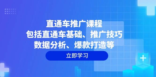 （14001期）直通车推广课程：包括直通车基础、推广技巧、数据分析、爆款打造等-天孤无涯网