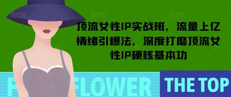 顶流女性IP实战班，流量上亿情绪引爆法，深度打磨顶流女性IP硬核基本功-天孤无涯网