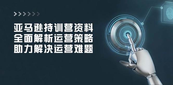 （14033期）亚马逊持训营资料，全面解析运营策略，助力解决运营难题-天孤无涯网
