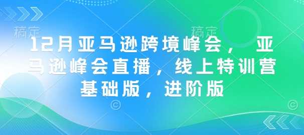 12月亚马逊跨境峰会， 亚马逊峰会直播，线上特训营基础版，进阶版-天孤无涯网