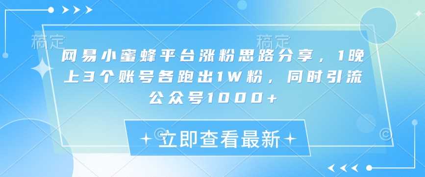 网易小蜜蜂平台涨粉思路分享，1晚上3个账号各跑出1W粉，同时引流公众号1000+-天孤无涯网