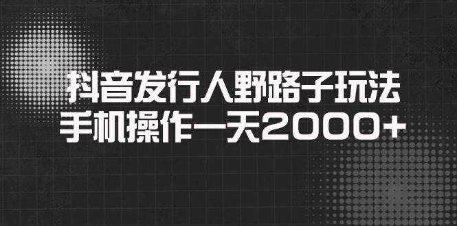 （14068期）抖音发行人野路子玩法，手机操作一天2000+-天孤无涯网