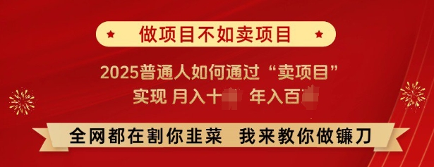必看，做项目不如卖项目，2025普通人如何通过“卖项目”实现月入十个，年入百个-天孤无涯网