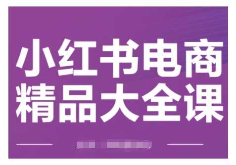 小红书电商精品大全课，快速掌握小红书运营技巧，实现精准引流与爆单目标，轻松玩转小红书电商-天孤无涯网
