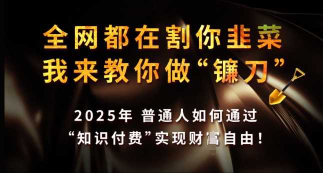 全网都在割你韭菜，我来教你做镰刀，2025年普通人如何通过 知识付费 实现财F自由【揭秘】-天孤无涯网