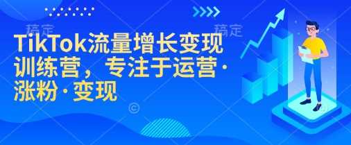 TikTok流量增长变现训练营，专注于运营·涨粉·变现-天孤无涯网
