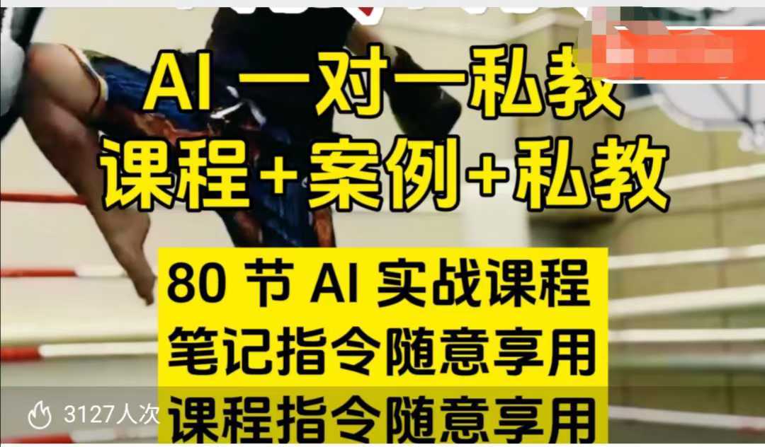 AI指令实战课，课程+案例，80节AI实战课程，笔记指令随意享用，课程指令随意享用-天孤无涯网