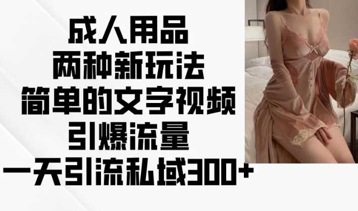成人用品两种新玩法，简单的文字视频引爆流量，一天引流私域300+-天孤无涯网