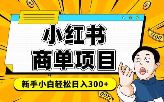 小红书千粉商单，稳定快速变现项目，实现月入6-8k并不是很难-天孤无涯网