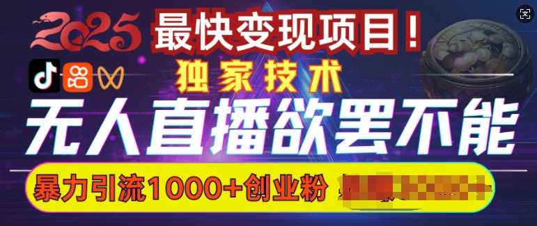 欲罢不能的无人直播引流，超暴力日引流1000+高质量精准创业粉-天孤无涯网