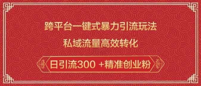 跨平台一键式暴力引流玩法，私域流量高效转化日引流300 +精准创业粉-天孤无涯网