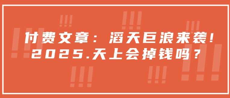 付费文章：滔天巨浪来袭！2025天上会掉钱吗？-天孤无涯网