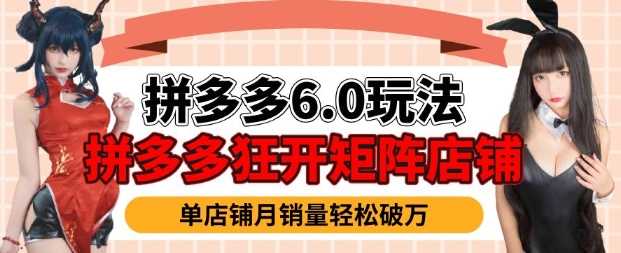 拼多多虚拟商品暴利6.0玩法，轻松实现月入过W-天孤无涯网