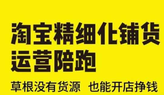 淘宝精细化铺货运营陪跑(部分更新至2025)，草根没有货源 也能开店挣钱-天孤无涯网