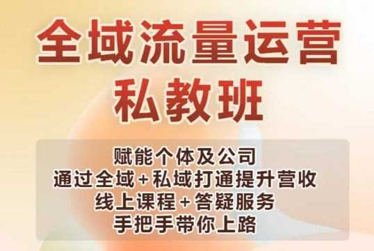 全域流量运营操盘课，赋能个体及公司通过全域+私域打通提升营收-天孤无涯网