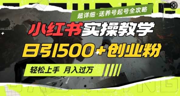 2月小红书最新日引500+创业粉实操教学【超详细】小白轻松上手，月入1W+，附小红书养号起号SOP-天孤无涯网