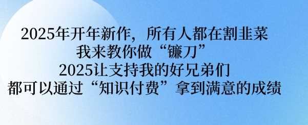 2025年开年新作，所有人都在割韭菜，我来教你做“镰刀” 2025让支持我的好兄弟们都可以通过“知识付费”拿到满意的成绩【揭秘】-天孤无涯网